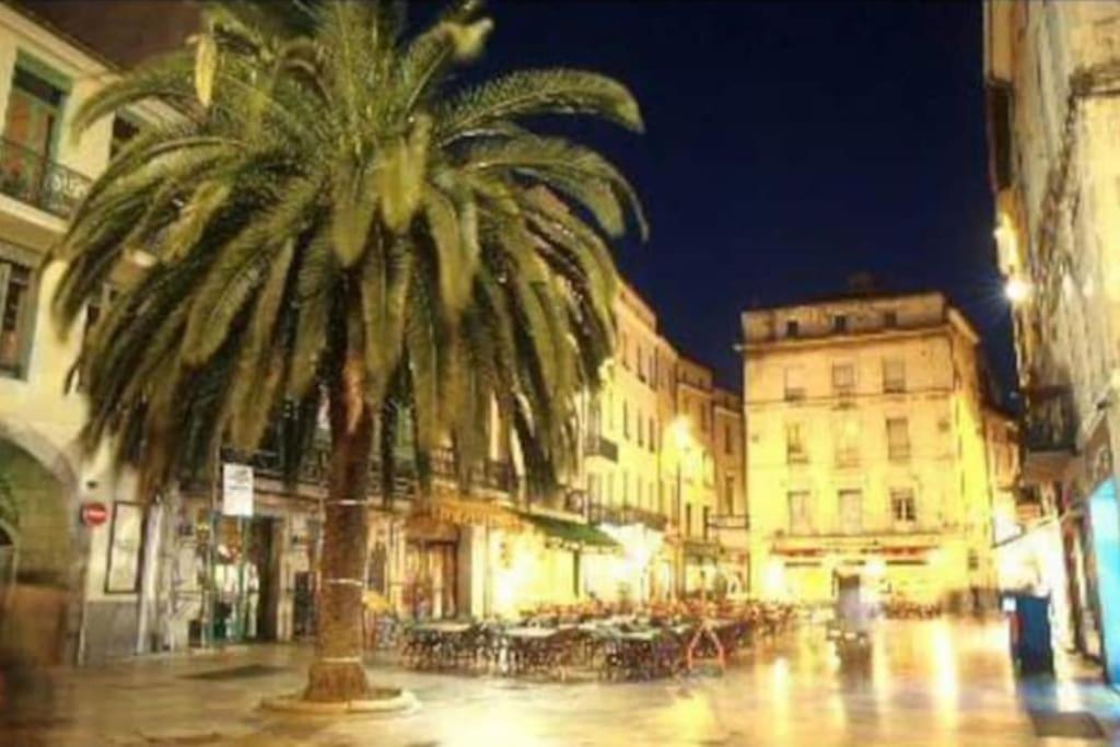 Studio « Le Boheme Chic » Nîmes Exteriör bild
